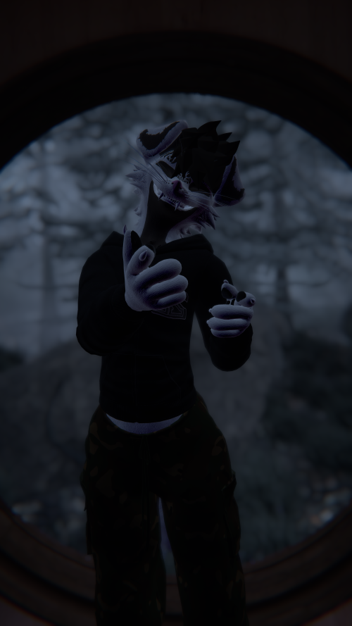 6YD.png