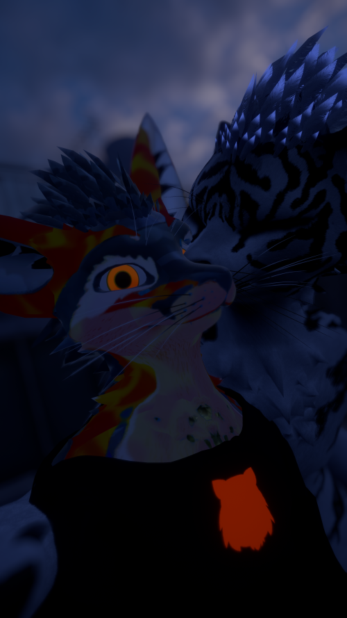 Coq.png