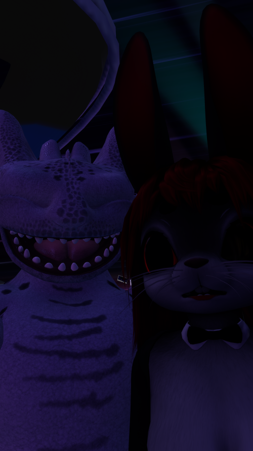 T2v.png