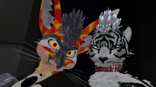 bWa.png